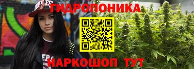 ешки Будённовск