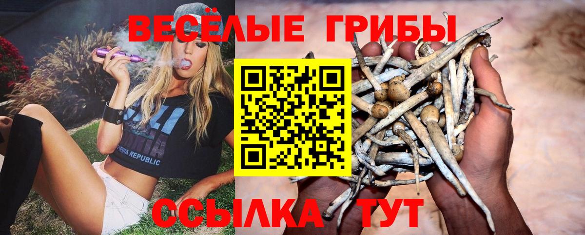 Псилоцибиновые грибы Psilocybe Слободской