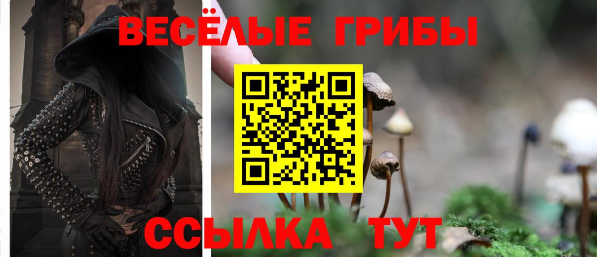 Галлюциногенные грибы мицелий  Вход с VPN  Галлюциногенные грибы мицелий  Слободской 